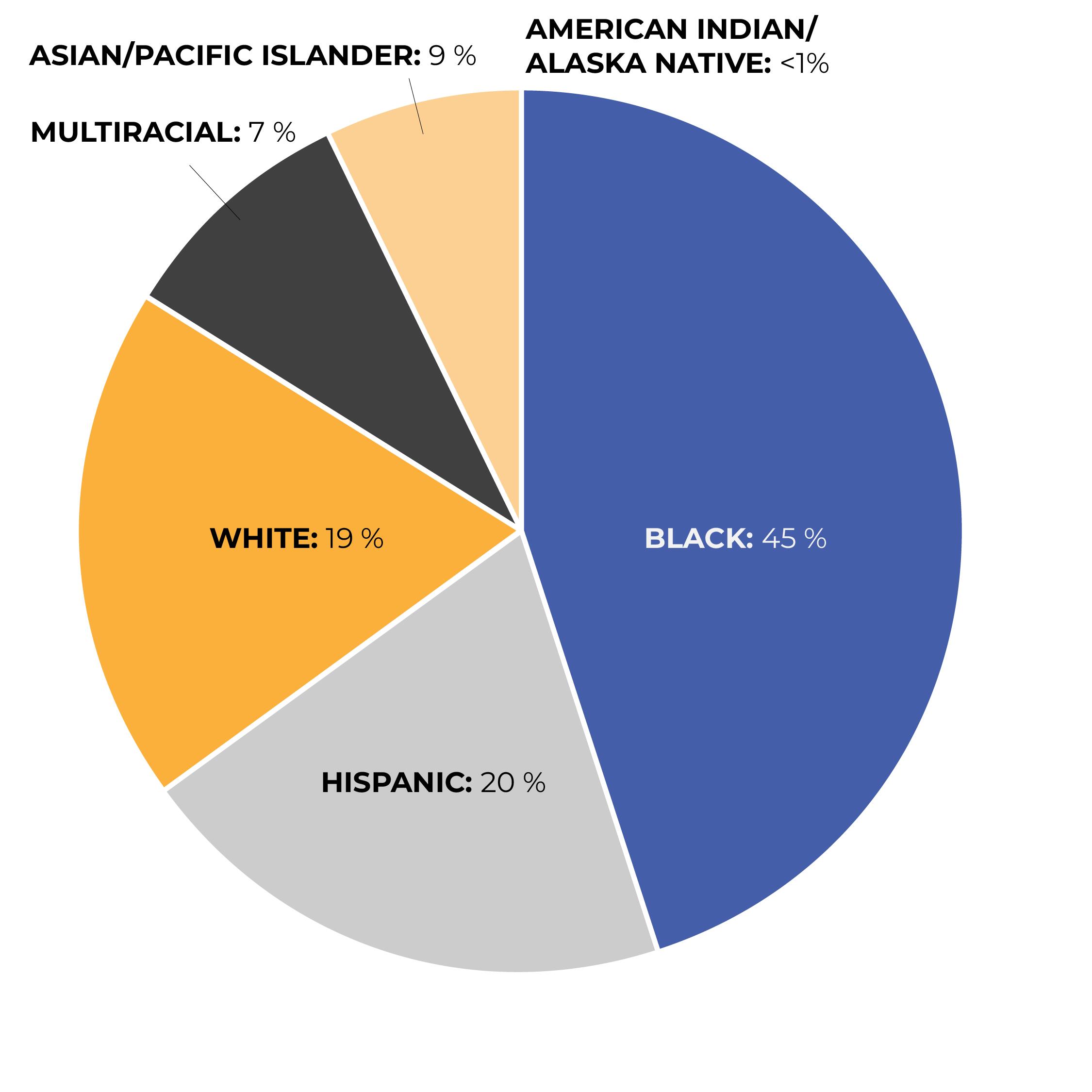 Pie chart showing ethnicity within the district